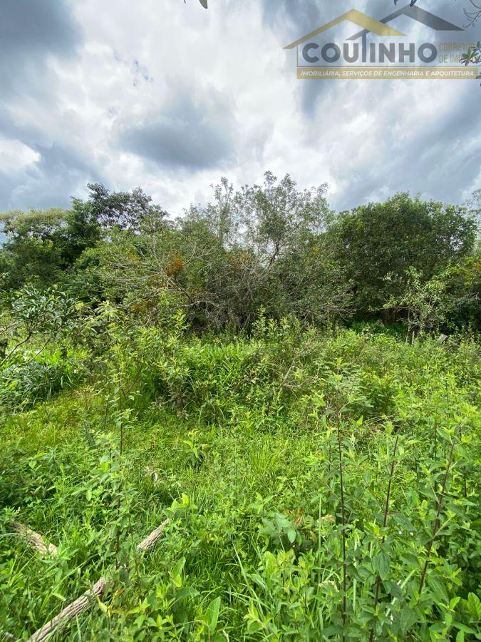 WhatsApp Image 2026-01-29 at 20.11.52.jpeg